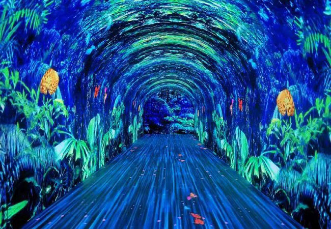 200 sqm of Time Tunnel Wall P3+ Ground P3.91 in Anhui 
